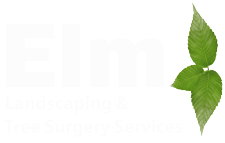 Elm Landscaping
